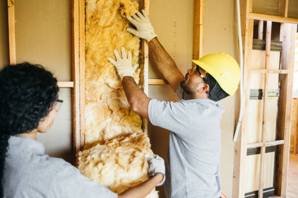 Best Attic Insulation Installation  in Warrensburg, IL