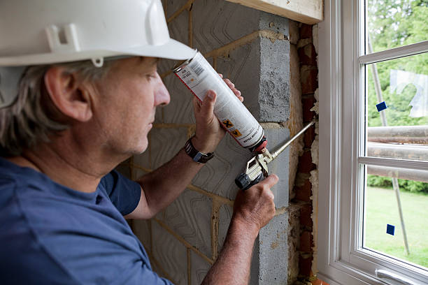 Best Wall Insulation Installation  in Warrensburg, IL